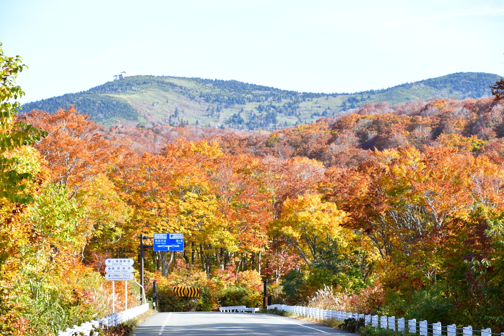 酸ヶ湯の紅葉