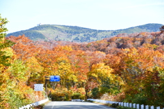 酸ヶ湯の紅葉