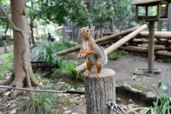 井の頭自然文化園 ②