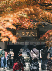 ２年ぶりの呑山観音寺