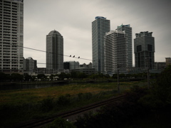 水際線プロムナードあたり 2