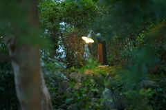 あかり 11