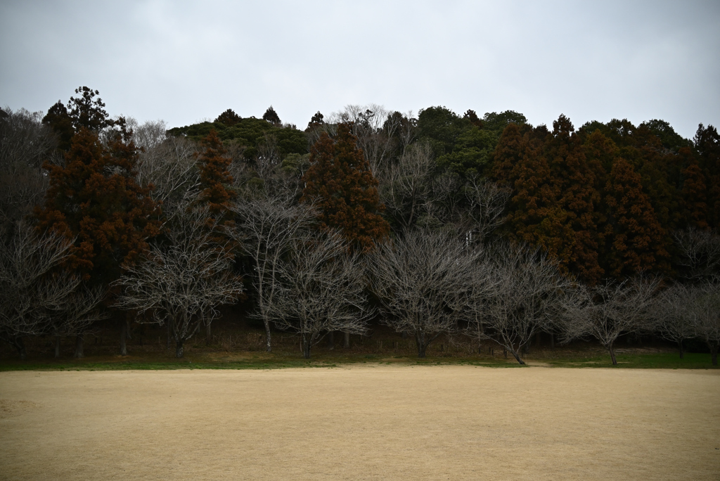 グラデーション