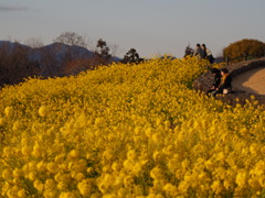 それぞれの2月