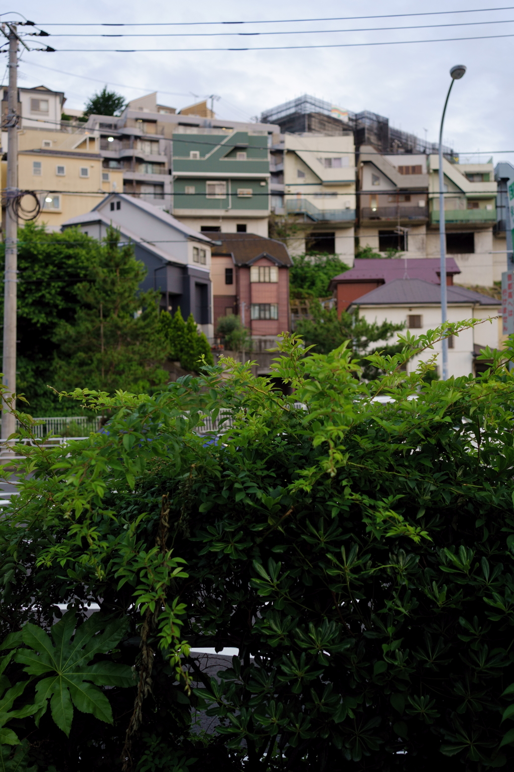 保土ケ谷的風景