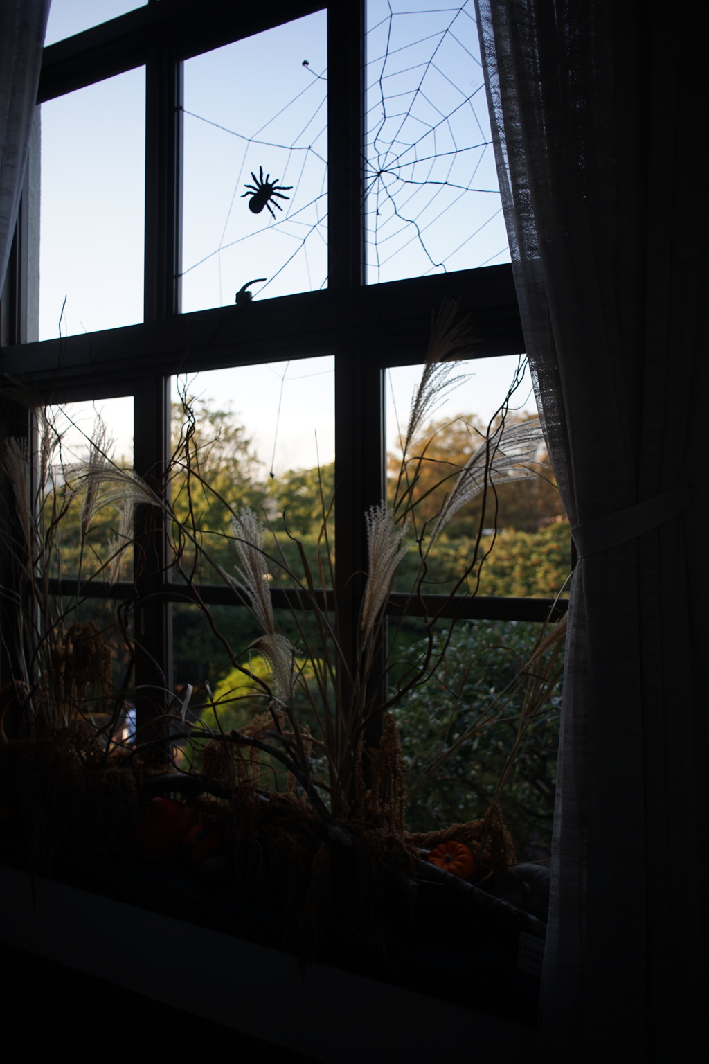 横浜市イギリス館のハロウィン 1