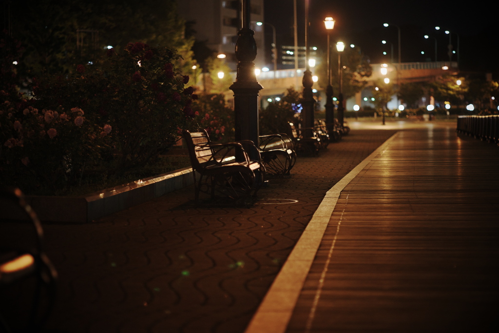 夜のベンチ