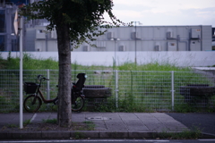 自転車のある風景 4