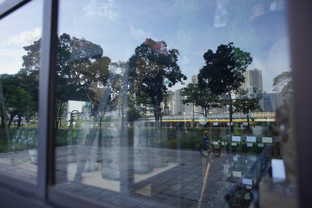 Yokohama Port Side Park