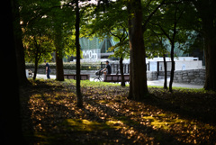 東京都現代美術館