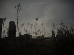 水際線プロムナードあたり 1