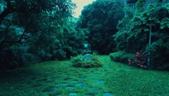 台湾の庭