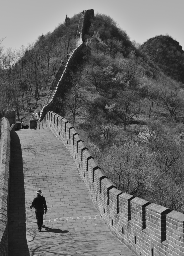 長き旅路の途中