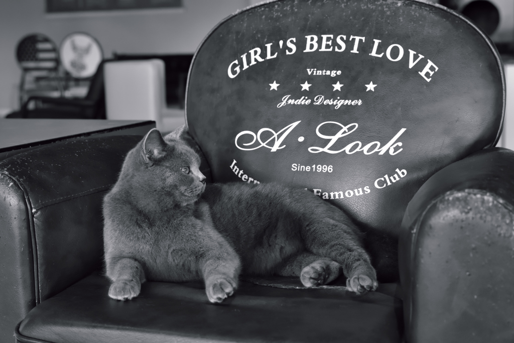 GIRL'S BEST LOVE