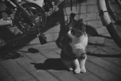 living in the dark