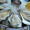 Oyster Show #1