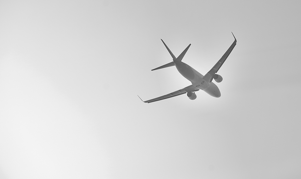 Fly