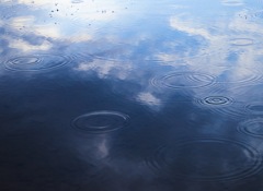 雨音