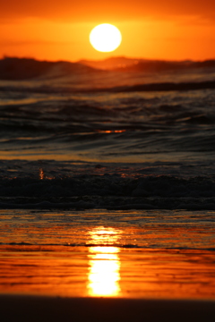 夕日
