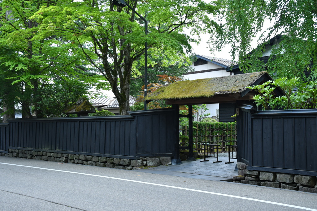 黒塀と緑