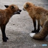 こしょこしょばなし