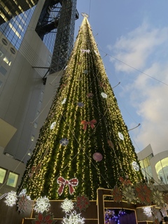 ドイツクリスマスマーケット