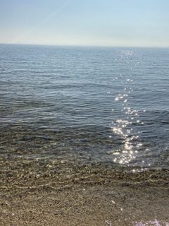 琵琶湖