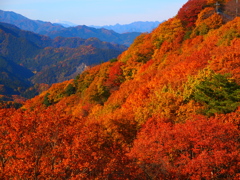牛臥山の紅葉