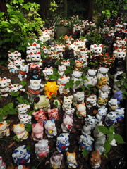 淡島神社の猫