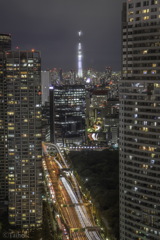 東京夜景とサンドウィッチ構図