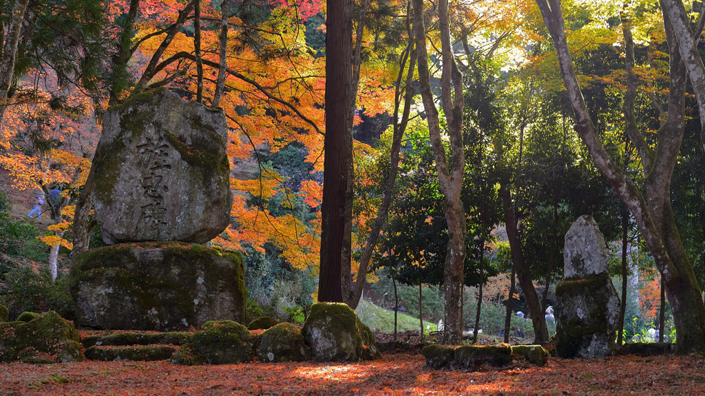 高源寺～石碑2019