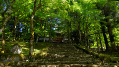 山門への階段～高源寺2022