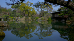 ひょうたん池リフレクション～相楽園2015