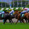 阪神競馬場2019