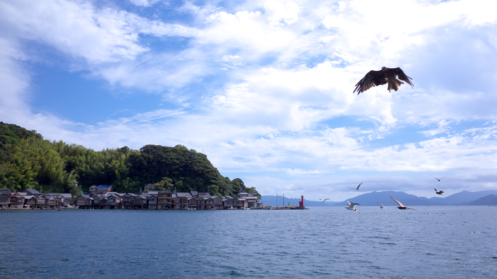 伊根の舟屋～海鳥達に誘われて2016