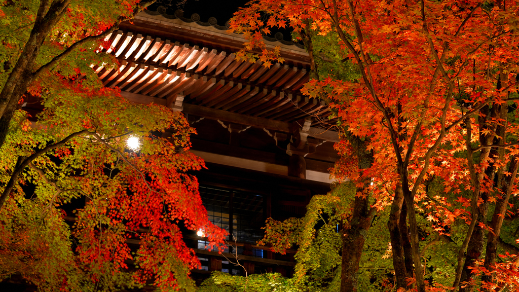 もうスグですが...今年はどうしよう...～播州清水寺2019