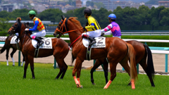 気合い入れ中～阪神競馬場2019