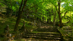 緑の回廊～高源寺2022