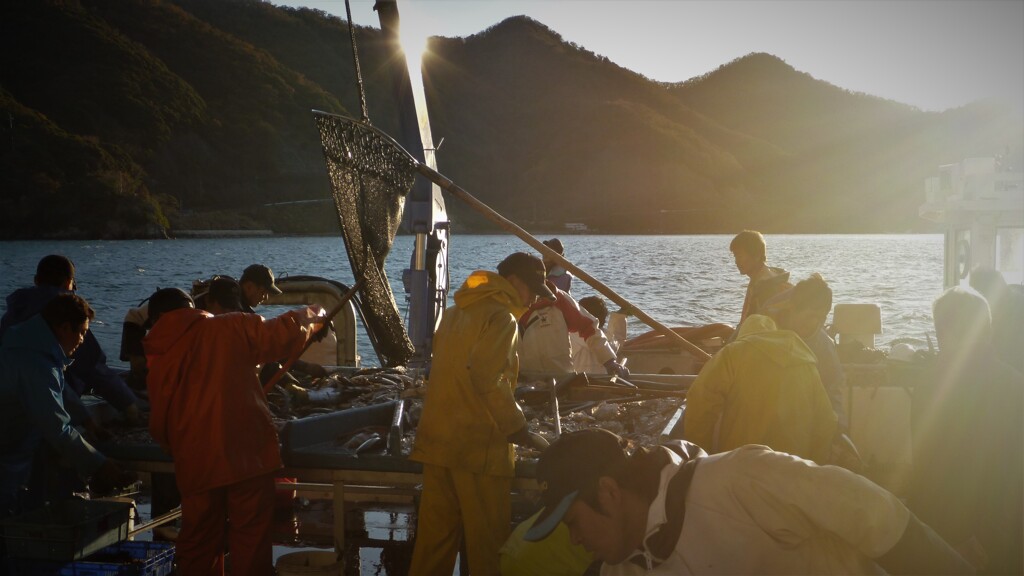 常神半島～水揚げ2019
