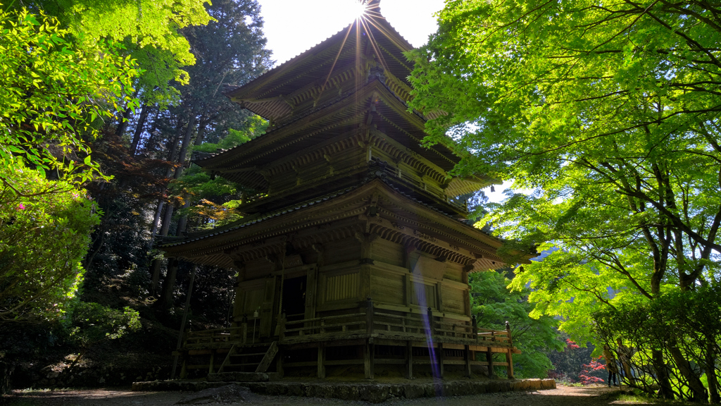 三重塔と新緑～高源寺2022