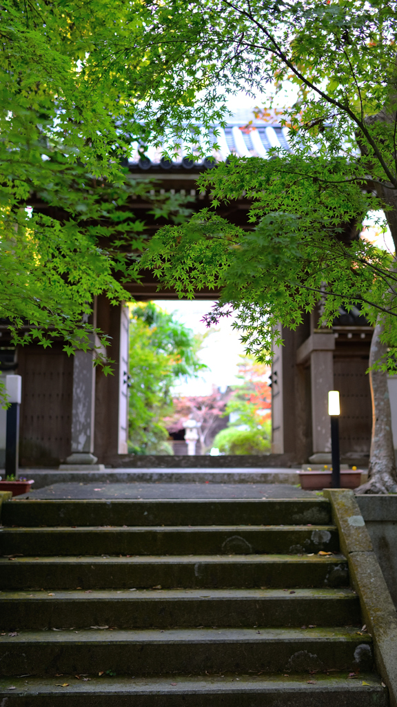 慈眼寺～門2019①