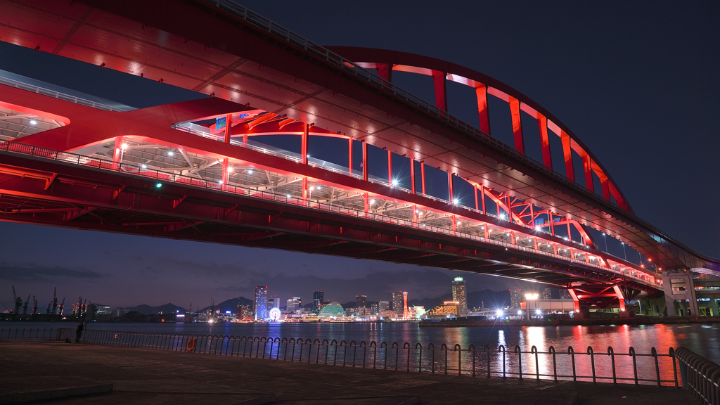 神戸大橋の夜景～ポートアイランド北公園2020③