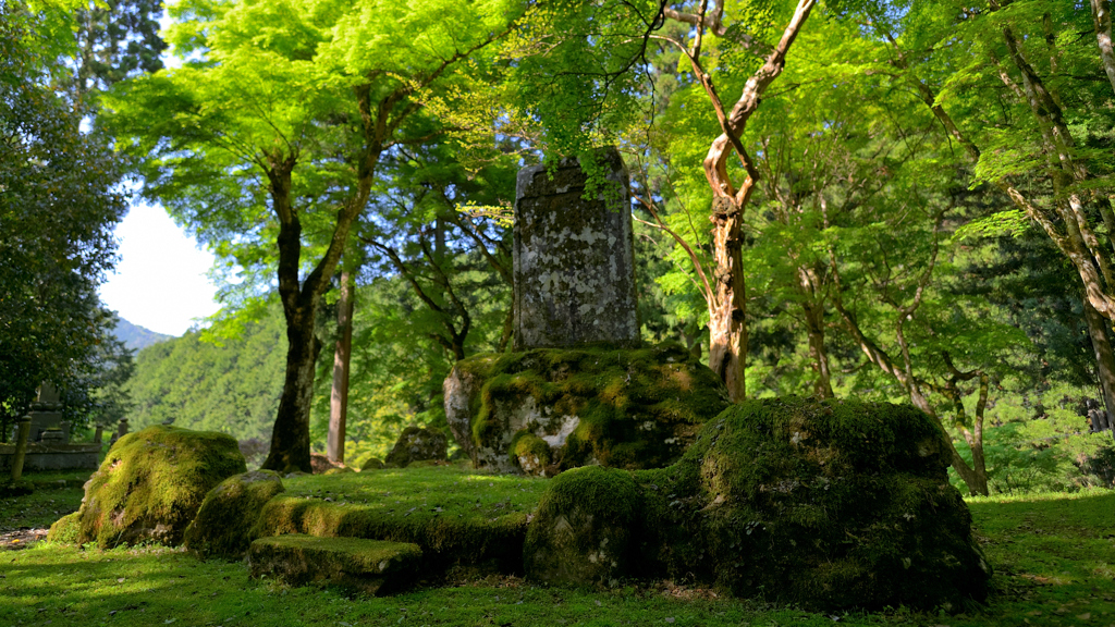 石碑～高源寺2022