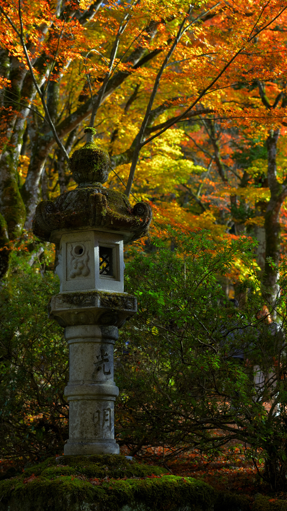 高源寺～石灯籠2019