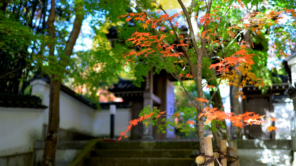 慈眼寺～門2019②