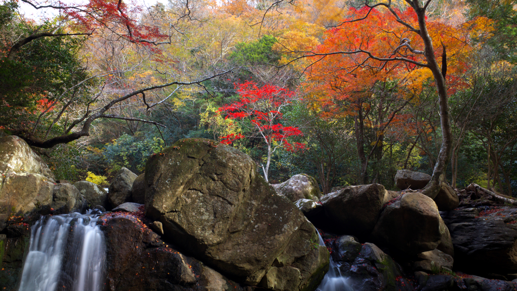 秋色の渓谷～尼ン滝2021