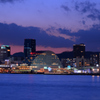神戸の街の灯～ポートアイランド北公園2020