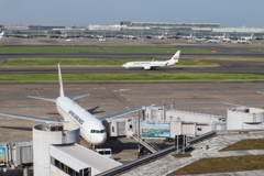 真夏の羽田空港にて2