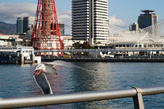 PSX_20191203_221603