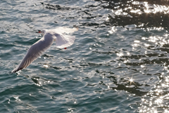 PSX_20191203_211101